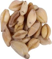 Bitter Colchicum | Suranjaan Kadvi Powder