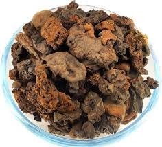 Black Areca Flower (Phool Supari Kali / Mochras)