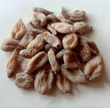 Salab Mishri | Orchis Mascula