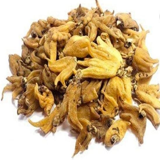 Salab punja | Salam Panja Dactylorhiza Hatagirea Powder