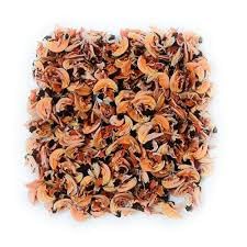 Phool Tesu | Flame of the Forest Flowers | Palash Flower