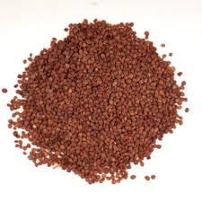 Lajwanti Seeds | Mimosa Pudica Seeds